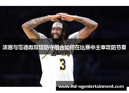 浓眉与范德彪双塔防守组合如何在比赛中主宰攻防节奏