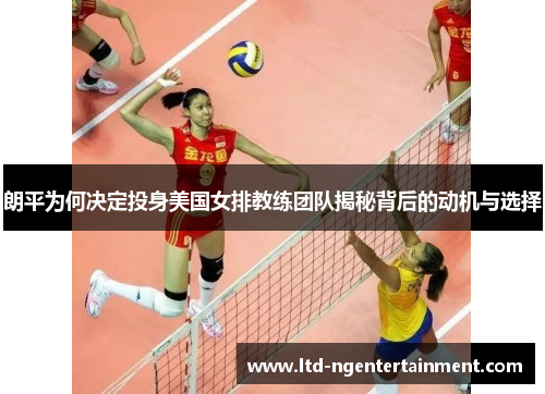 朗平为何决定投身美国女排教练团队揭秘背后的动机与选择
