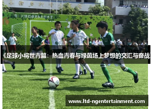 《足球小将世青篇:热血青春与绿茵场上梦想的交汇与奋战》 《足球小将世青篇:热血青春与绿茵场上梦想的交汇与奋战》