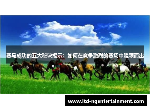 赛马成功的五大秘诀揭示:如何在竞争激烈的赛场中脱颖而出 赛马成功的五大秘诀揭示:如何在竞争激烈的赛场中脱颖而出