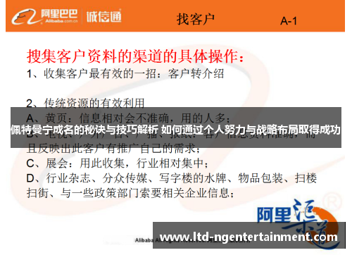 佩特曼宁成名的秘诀与技巧解析 如何通过个人努力与战略布局取得成功 佩特曼宁成名的秘诀与技巧解析 如何通过个人努力与战略布局取得成功