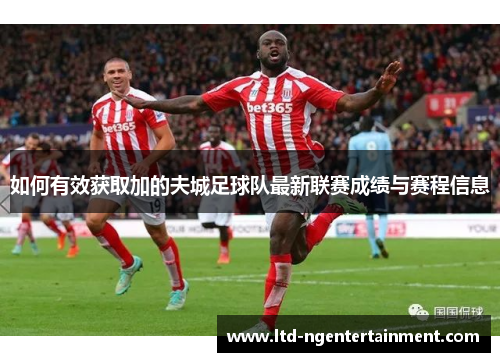 如何有效获取加的夫城足球队最新联赛成绩与赛程信息