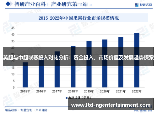 英超与中超联赛投入对比分析:资金投入、市场价值及发展趋势探索 英超与中超联赛投入对比分析:资金投入、市场价值及发展趋势探索