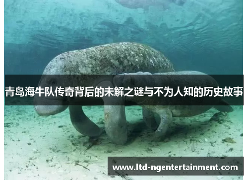 青岛海牛队传奇背后的未解之谜与不为人知的历史故事 青岛海牛队传奇背后的未解之谜与不为人知的历史故事