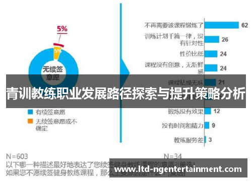 青训教练职业发展路径探索与提升策略分析