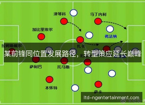 某前锋同位置发展路径,转型策应延长巅峰 某前锋同位置发展路径,转型策应延长巅峰
