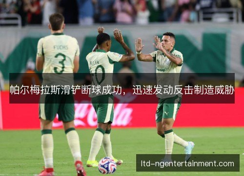 帕尔梅拉斯滑铲断球成功,迅速发动反击制造威胁 帕尔梅拉斯滑铲断球成功,迅速发动反击制造威胁