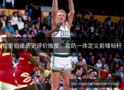 拉里伯德历史评价维度，攻防一体定义前锋标杆